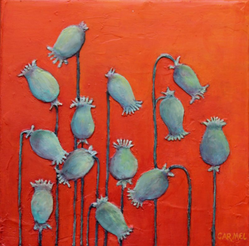 Poppy Pods