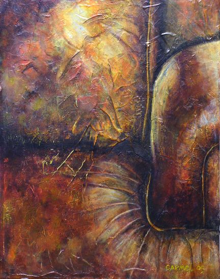 Where the Money Goes